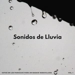 Sonidos De Lluvia: Gotas En Los Paraguas Para Un Masaje Maravilloso - Palacio de la lluvia