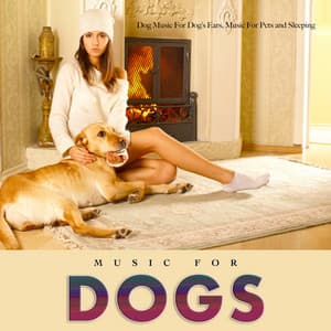 Dog Music For Dog’s Ears, Music For Pets and Sleeping Music For Dogs - Dog Music