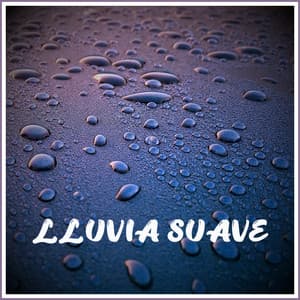 Lluvia Suave - Reiki Tribe