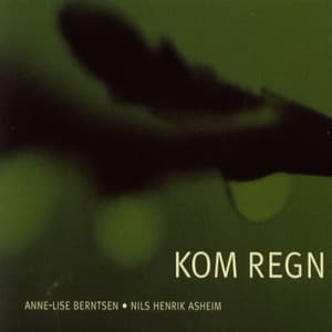 Kom Regn - Nils Henrik Asheim