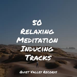 50 Relaxing Meditation Inducing Tracks - Music to Relax in Free Time