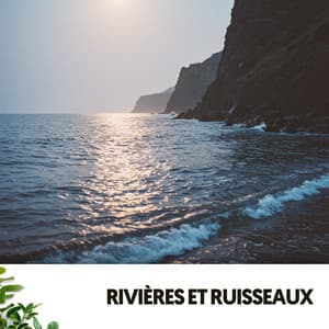 Rivières et Ruisseaux: Le Pouvoir Guérisseur de la Rivière - Ocean Makers