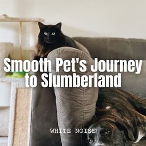 White Noise: Smooth Pet's Journey to Slumberland - Soothing White Noise for Relaxation