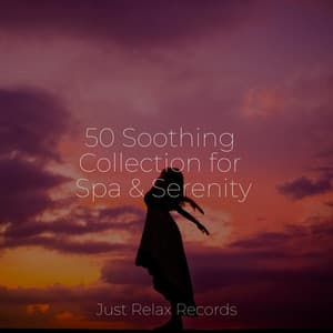 50 Soothing Collection for Spa & Serenity - Thunderstorm Sound Bank