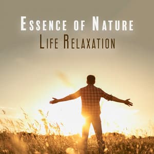 Essence of Nature Life Relaxation: Soothing Birds and Water Sounds - Serenity Nature Sounds Academy