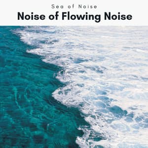 1 Noise of Flowing Noise - Sea of Noise