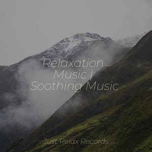 Relaxation Music | Soothing Music - Meditation Spa