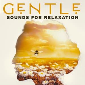 Gentle Sounds for Relaxation: Turn Off Your Mind for a Moment with Soothing New Age Tones - New Age Harmonic Melodies