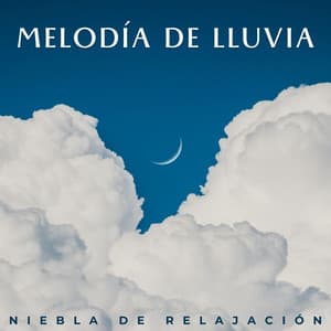 Melodía De Lluvia: Niebla De Relajación - Lluvia Calmante