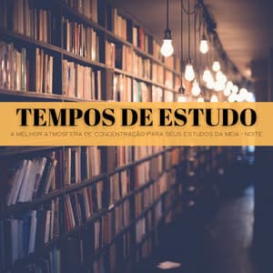 Tempos De Estudo: A Melhor Atmosfera De Concentração Para Seus Estudos Da Meia -Noite - Calma