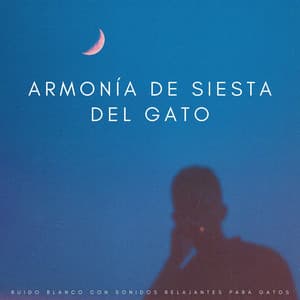 Dicha De Ruido Blanco: Tonos Relajantes De Chillout - Los viajeros del ruido blanco