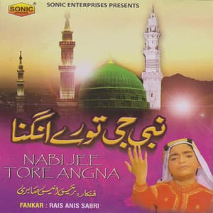 Nabi Jee Tore Angna - Rais Anis Sabri