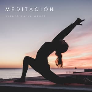 Meditación: Viento En La Mente - Ruido Blanco Para Estudiar