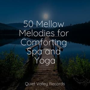 50 Mellow Melodies for Comforting Spa and Yoga - Fabricantes De Lluvia