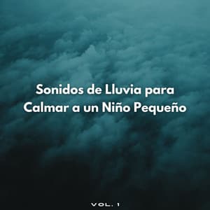 Sonidos De Lluvia Para Calmar A Un Niño Pequeño Vol. 1 - Llovido
