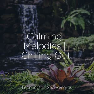 Calming Melodies | Chilling Out - Sonido de lluvia