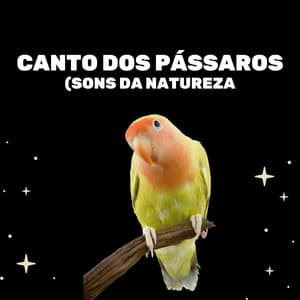 Canto Dos Pássaros - Medicina Relaxante