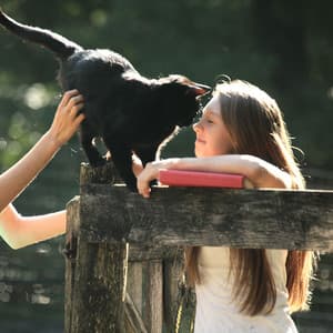 Serene Ocean Tide: Tranquil Binaural Cat Bonding Harmony - Relaxing Peace