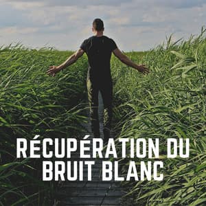 Récupération du Bruit Blanc - Bruit Blanc