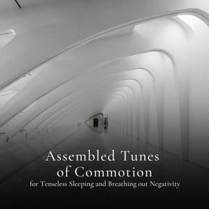 * Assembled Tunes of Commotion for Quiet Night and Sunny Mornings * - Loopable White Noise