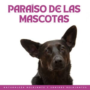 Paraíso De Las Mascotas: Naturaleza Relajante Y Sonidos Relajantes - Etiqueta de la naturaleza