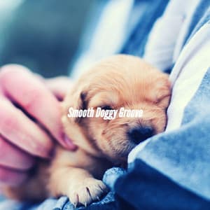 Smooth Doggy Groove - Puppy Music
