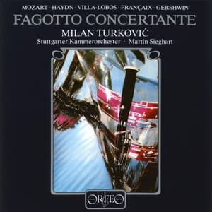 Fagotto concertante - Martin Sieghart