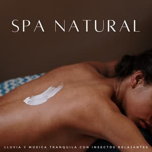 Spa Natural: Lluvia Y Música Tranquila Con Insectos Relajantes - Lluvia Instantánea