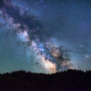 36 Instantly Soothing Melodies for Relaxation and Stress Relief - Lounge