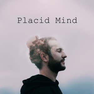 Placid Mind: Sounds for Buddhist Meditation, Inner Power Activation, Finding The Purest Happiness - Stress Relief Calm Oasis