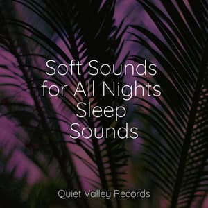 Soft Sounds for All Nights Sleep Sounds - Sampling XL