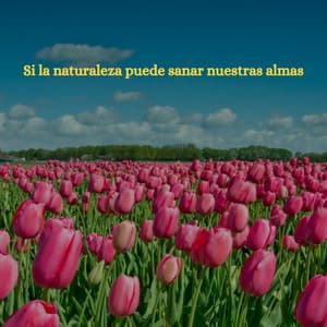 Si la naturaleza puede sanar nuestras almas - Light Dinner & Jazz