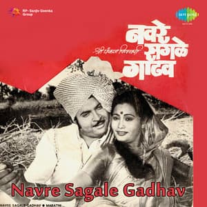 Navre Sagale Gadhav - Raamlaxman