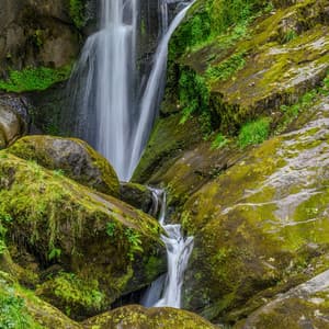 0 Hour Zen: Guided By Nature - Baltic Nature Sounds