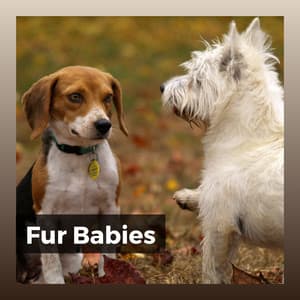 Fur Babies - Calming for Dogs