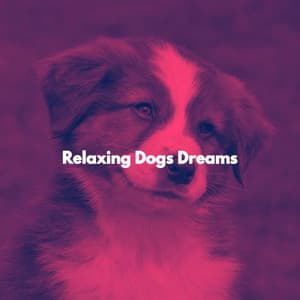 Relaxing Dogs Dreams - Suave Música para Dormir