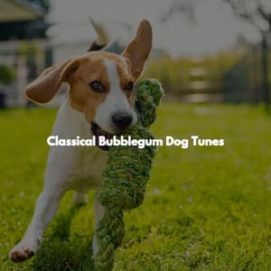 Classical Bubblegum Dog Tunes - Cafe Jazz Paris