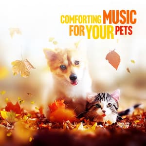 Comforting Music for Your Pets: Dog and Cat Friendly Music - Life Sounds Nature