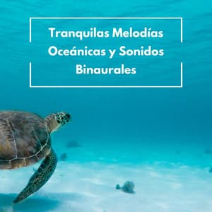 Tranquilas Melodías Oceánicas Y Sonidos Binaurales - Ruidos del océano