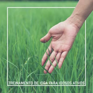 Treinamento de Ioga para Idosos Ativos - Promovem Bem-estar, Cura e Harmonia - Academia Sons da Natureza