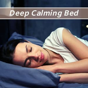 Deep Calming Bed - Sleep Music Machine for Adult - REM Sleep Inducing