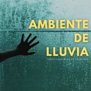 Ambiente De Lluvia: Tonos Sensibles De Tormenta - Música Para Aliviar El Estrés