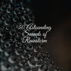 50 Astounding Sounds of Rainstorm - Naturaleza Relajacion