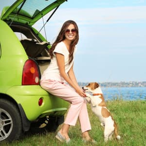 Oceanic Pet Retreat: Birds' Tranquil Resonance - Sundays By The Ocean