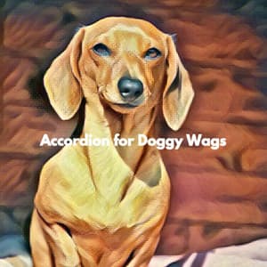 Accordion for Doggy Wags - Música para Tiendas Musica De Fondo