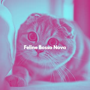 Feline Bossa Nova - Relaxing Playlist Studio