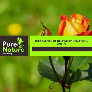 The Essence of Deep Sleep in Nature, Vol. 3 - Nature Field Recordings