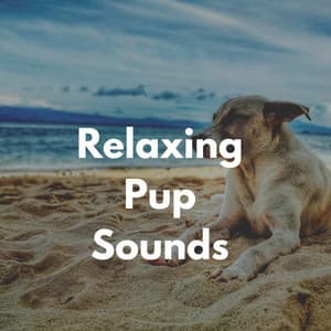 Relaxing Pup Sounds - Dog Calming Music