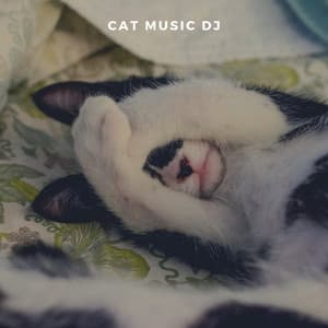 Sleep Aid For Cats - Cat Music DJ