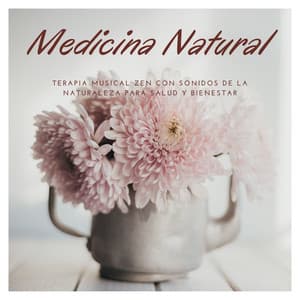 Medicina Natural: Terapia Musical Zen con Sonidos de la Naturaleza para Salud y Bienestar - Musica Tranquila Maestro